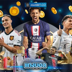 maxbet แทงบอล