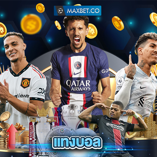 maxbet แทงบอล